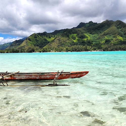 Perles noires de Tahiti naturelles illustrant la renommée mondiale des perles de Polynésie française